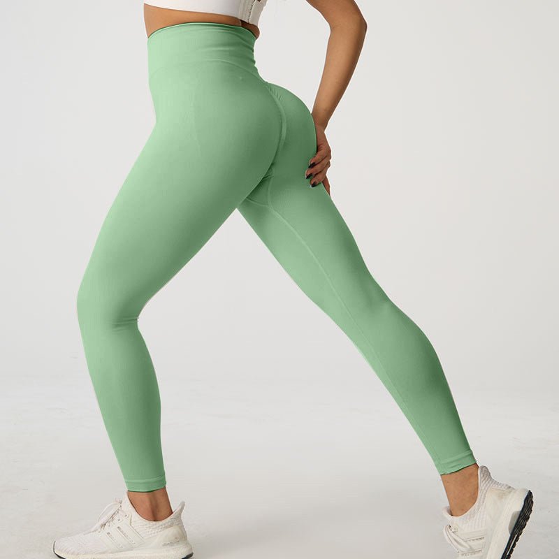 Seamless Sculpt Leggings - asiilo.com